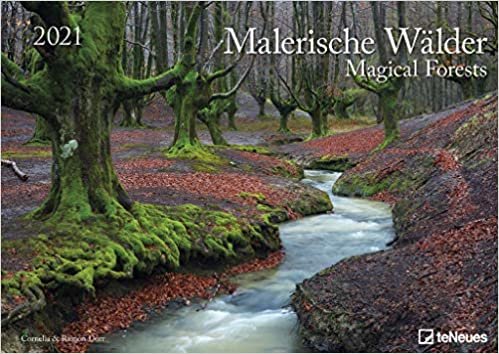 Malerische Wälder 2021 - Wand-Kalender - 42x29,7 - Wald - Natur: Magical Forests