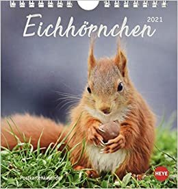 Eichhörnchen 2021 Postkartenkalender