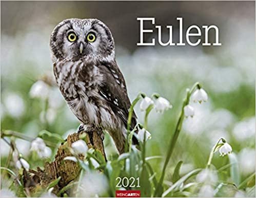 Eulen - Kalender 2021