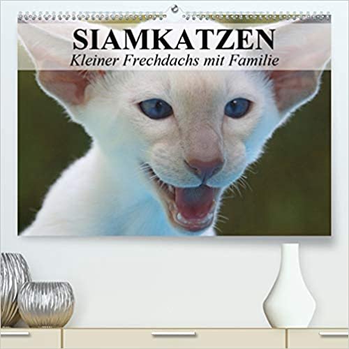 Siamkatzen - Kleiner Frechdachs mit Familie(Premium, hochwertiger DIN A2 Wandkalender 2020, Kunstdruck in Hochglanz): Siamkätzchen `Moneypenny` mit ... Katzenfamilie (Monatskalender, 14 Seiten )