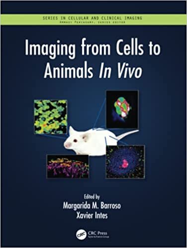 Imaging from Cells to Animals in Vivo (Series in Cellular and Clinical Imaging)
