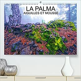 LA PALMA AIGUILLES ET MOUSSES (Calendrier supérieur 2022 DIN A2 horizontal)