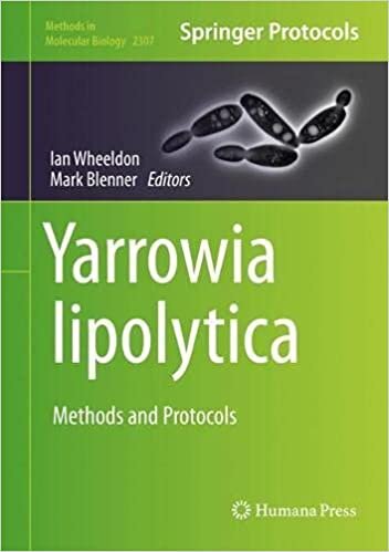 Yarrowia lipolytica: Methods and Protocols (Methods in Molecular Biology, 2307, Band 2307)