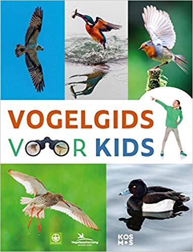 Vogelgids voor kids: vogels observeren en herkennen