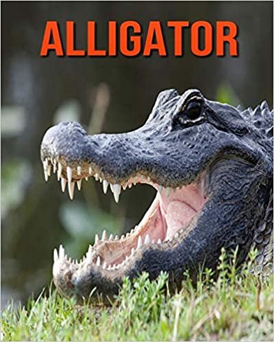 Alligator: Amazing Pictures and Facts About Alligator