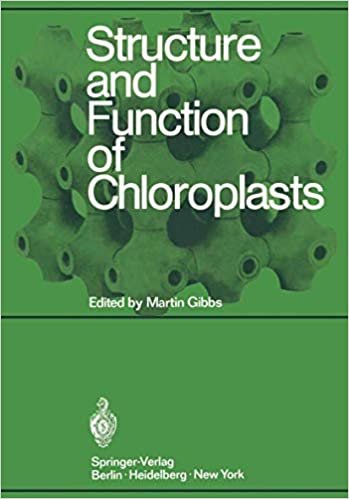 Structure and Function of Chloroplasts indir