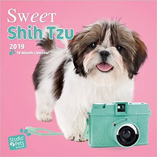 Sweet Shih Tzu - Shih Tzu 2019 - 18-Monatskalender: Original Myrna-Kalender