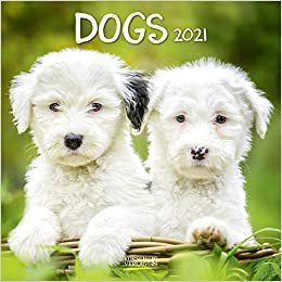 Dogs 2021: Broschürenkalender mit Ferienterminen. Hunde und Welpen
