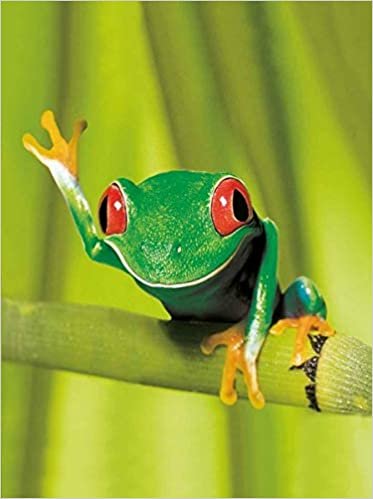 Frogs (Blank Book) indir