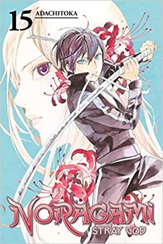 Noragami Volume 15 (Noragami: Stray God)