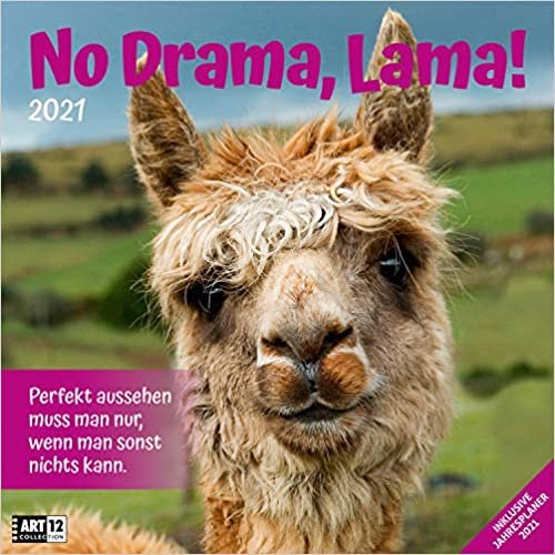 No Drama, Lama! 2021 indir