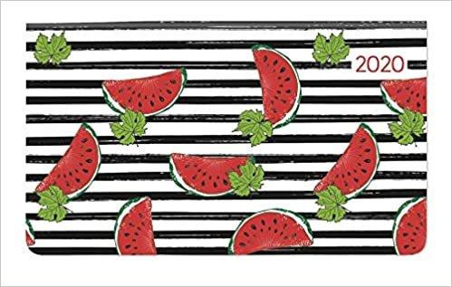 Ladytimer Pad Melon 2020 - Taschenplaner - Taschenkalender quer (16 x 9)