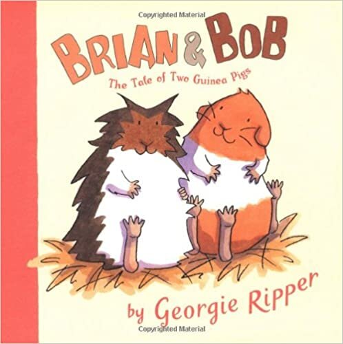 Brian & Bob: The Tale of Two Guinea Pigs