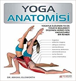 YOGA ANATOMİSİ