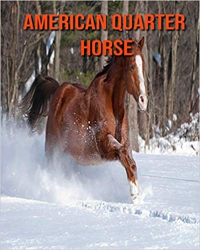 American Quarter Horse: Fascinating American Quarter Horse Facts for Kids with Stunning Pictures!