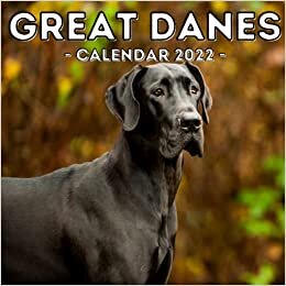 Great Danes Calendar 2022: 16-Month Calendar, Cute Gift Idea For Great Dane Lovers Men And Women