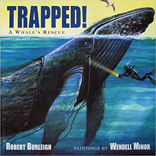 Trapped! (1 Hardcover/1 CD): A Whale's Rescue