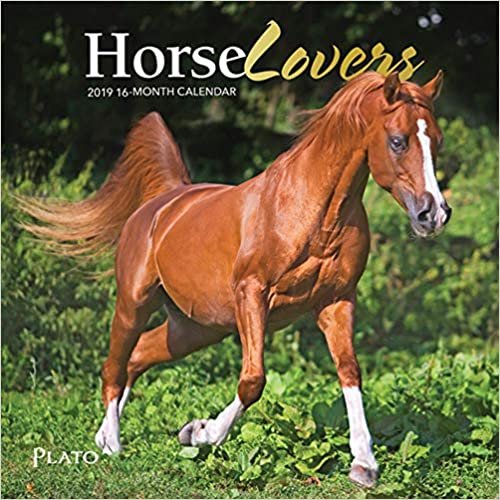 Horse Lovers 2019 Calendar