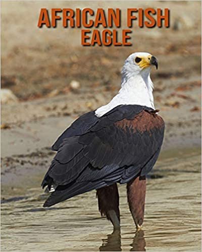African fish eagle: Incredible Pictures and Fun Facts about African fish eagle