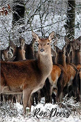 Roe Deers: Notebook with Animals for Kids, Notebook for Coloring Drawing and Writing (Realistic Colors, 110 Pages, Unlined, 6 x 9)(Animal Glossy Notebook)