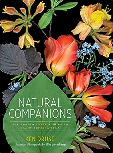 Natural Companions: The Garden Lover s Guide to Plant Combinations
