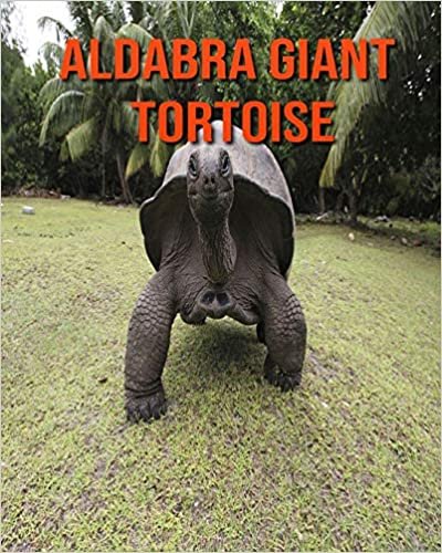 Aldabra Giant Tortoise: Amazing Pictures and Facts About Aldabra Giant Tortoise