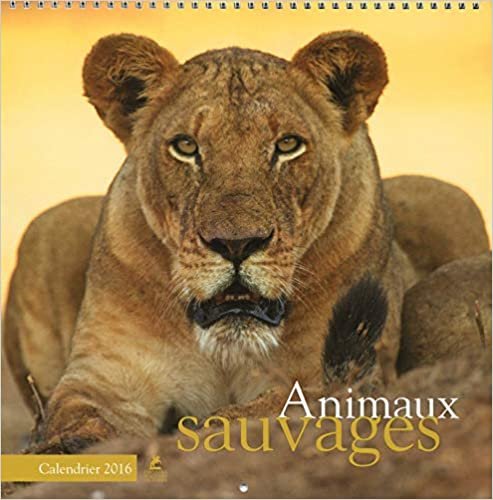 Animaux sauvages Calendrier 2016