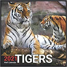 Tigers Calendar 2021: Cute Animals Calendar 2021, Wall & Office Calendar 2021-2022 Size 8.5 x 8.5 Inch,16 Month Calendar 2021 For Women, Men, Kids & Animal Lovers indir