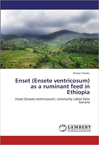 Enset (Ensete ventricosum) as a ruminant feed in Ethiopia: Enset (Ensete ventricosum): commonly called false banana