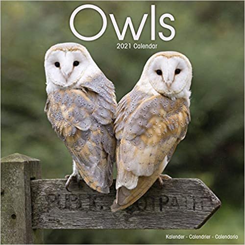 Owls 2021 wall Calendar