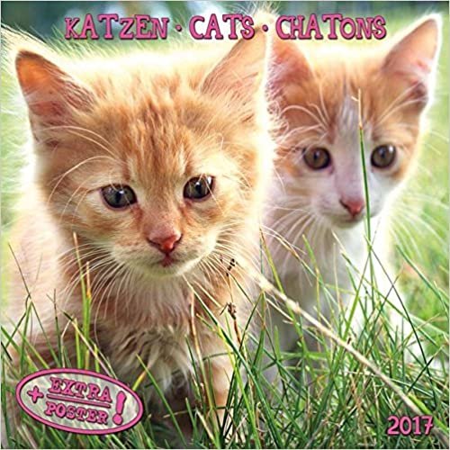 Katzen - Cats - Chatons 2017 Artwork