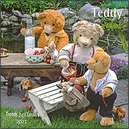 Teddy 2021 - Broschürenkalender - Wandkalender - mit herausnehmbarem Poster - Format 30 x 30 cm indir