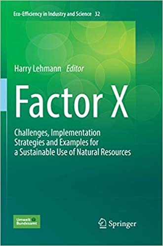 Factor X: Challenges, Implementation Strategies and Examples for a Sustainable Use of Natural Resources (Eco-Efficiency in Industry and Science)
