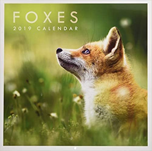 Foxes - Fuchs - Füchse 2019: Original Carousel-Kalender