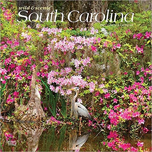 Wild & Scenic South Carolina 2021 Calendar