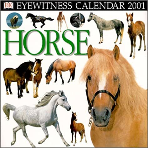 Eyewitness Calendar 2001: Horse indir