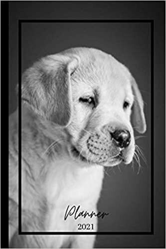2021 PLANNER: Planner "LABRADOR PUPPY". 150 pages. Weekly. Annual and monthly calendar. Timetable. January to December 2021. 6'x 9'.