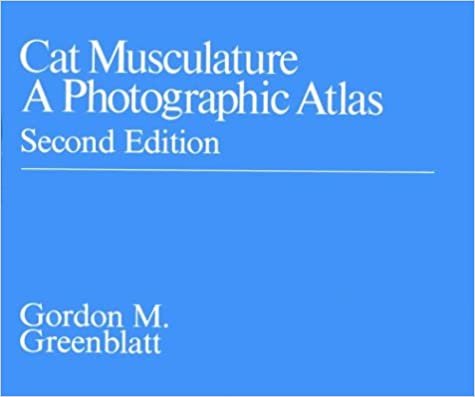 Cat Musculature: Workbk: A Photographic Atlas