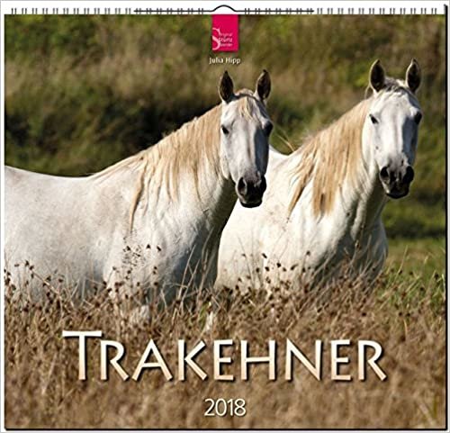 TRAKEHNER: Original Stürtz-Kalender 2018 - Mittelformat-Kalender 33 x 31 cm