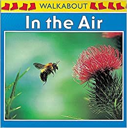 Walkabouts: In The Air indir