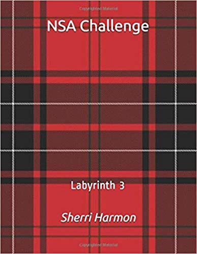 NSA Challenge: Labyrinth 3 indir