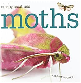 Moths (Creepy Creatures (Creative Education)) indir