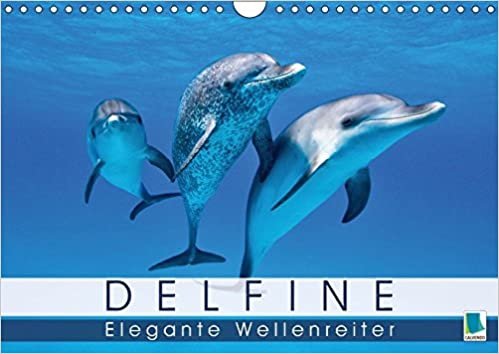 Delfine: Elegante Wellenreiter (Wandkalender 2017 DIN A4 quer): Delfine: Die Welt der verspielten Meeressäuger (Monatskalender, 14 Seiten ) (CALVENDO Tiere) indir