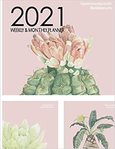 2021 Weekly & Monthly Planner: 2021 Personalized Planner, Januray - December 2021 Weekly ,Monthly Planner ,Federal Holidays and Inspirational Quotes,Weekly Goal,Habit Tracker,Todo List ,Cactus Cover indir