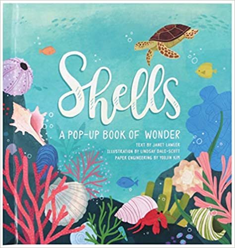 Shells: A Summer Pop-Up Book (4 Seasons of Pop-Up)