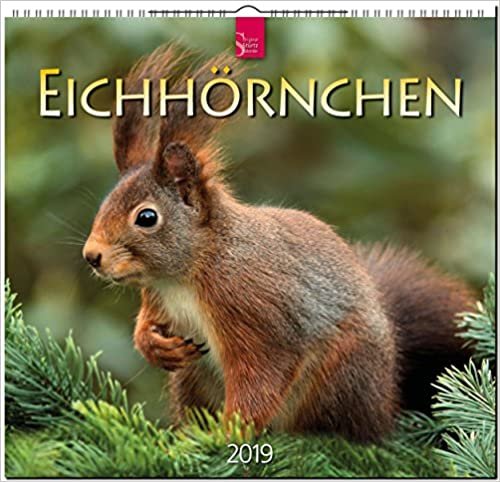Eichhörnchen 2019: Mittelformat-Kalender indir