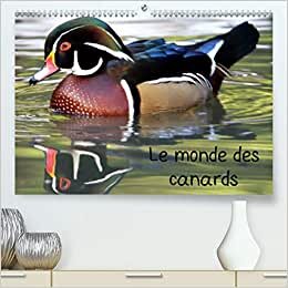 Le monde des canards (Premium, hochwertiger DIN A2 Wandkalender 2021, Kunstdruck in Hochglanz): A la découverte des canards du monde entier (Calendrier mensuel, 14 Pages ) (CALVENDO Animaux)