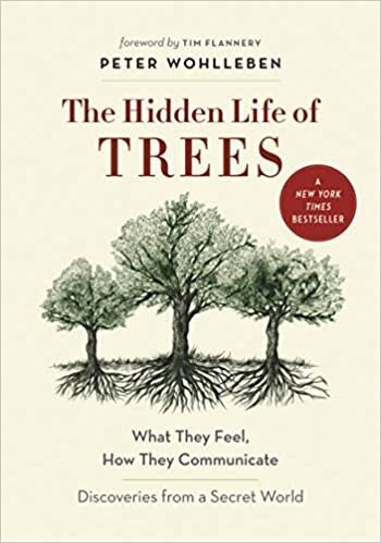 The Hidden Life of Trees: What They Feel, How They Communicate-Discoveries from a Secret World (The Mysteries of Nature)