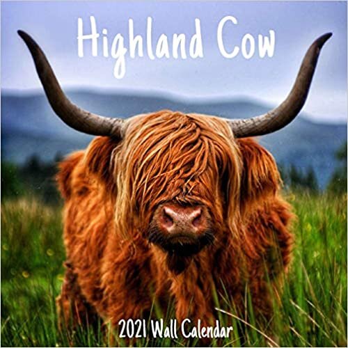 Highland Cow 2021 Wall Calendar: Highland Cow Calendar 2021, 18 Months. indir