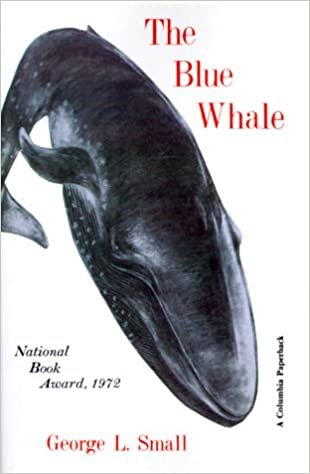 The Blue Whale indir